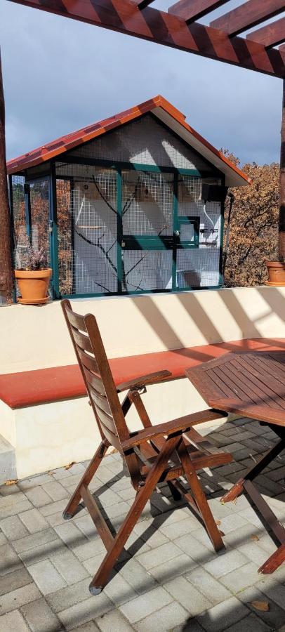 Apartament Sunset Refuge Fajã da Ovelha Zewnętrze zdjęcie